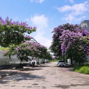 131.25m2 đất biệt thự vườn hồng - ngang 7.5m - đường 12m