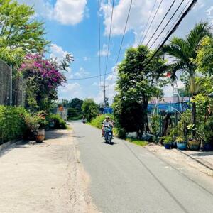 191m2 gần full thổ cư MT Nguyễn Thị Náo, Trung Lập Thượng, Củ Chi, TP.HCM GIÁ 500TR