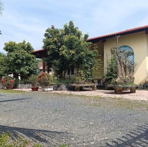 Bán Khu Nghỉ Dưỡng Tại ấp 4, Xã Mỹ Thạnh đông, đức Huệ, Long An, 12000 M2