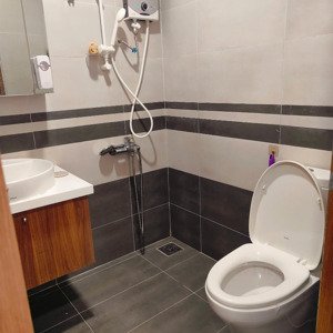 cho thuê căn hộ biconsi tower chợ đình, bình dương