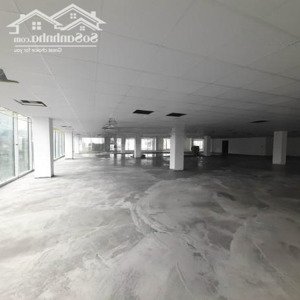Cho Thuê Mặt Bằng Kinh Doanh Mặt Phố Trần Quang Khải, Tràng Tiền, Hoàn Kiếm, Hà Nội