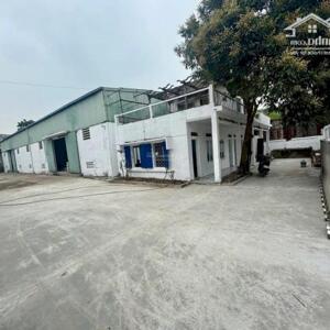  CHO THUÊ NHÀ KHO 310M² TẠI SƠN TRÀ – CÓ SẴN ĐIỆN 3 PHA – GIÁ CHỈ 15 TRIỆU/THÁNG 