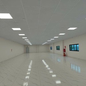 hải phòng chuyển nhượng nhà máy hơn 2ha. tại khu cn deep c 1. nhà máy đẹp, đủ pccc tiêu chuẩn