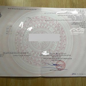 Hàng độc Quyền - Rẻ Nhất Dự án Lk 100m Pk1 Kđt Nam Vĩnh Yên Trục đường 13.5