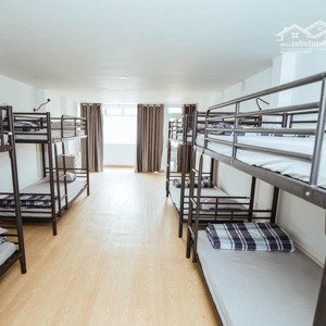Ktx Thang Máy Tại Trung Tâm Quận 10, Cách 5p Qua Sư Vạn Hạnh, Trường Bách Khoa, 3/2, Giá 1 Tr 3/th