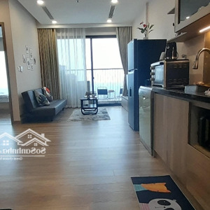 Cc Cho Thuê Căn Hộ Cao Cấp ở Haven Park, 2pn 2wc, 60m2, Khu đô Thi Ecopark, Giá Tốt
