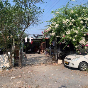 Cho Thuê Gấp! Vườn Nghĩa Bình, Yên Nghĩa Hà đông 5000m2 - Gần Big C Thăng Long Giá Hạt Rẻ 15 Triệu