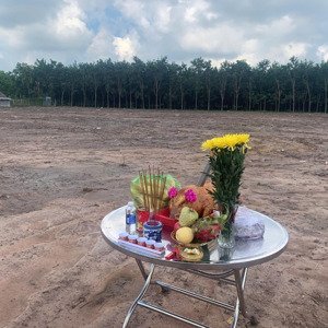 17 nền f0 mặt tiền dh611 lai hưng bàu bàng bình dương
