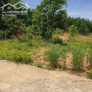 bán nghỉ dưỡng tại đường hoàng văn thái, xã hòa nhơn, hòa vang, đà nẵng, 1,85 tỷ, 515 m2