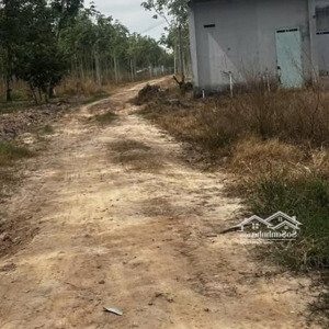 chính chủ cần bán gấp 4,5 mẫu đất ở phước vinh, châu thành, tây ninh; giá chỉ 22,5 tỷ