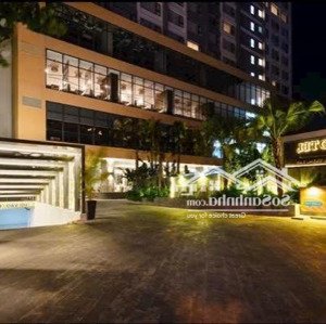 Bán Căn Hộ Biển Cao Cấp Dqua Nha Trang Sổ Hồng Sở Hữu 50 Năm. đầu Tư Có Dòng Tiền Tốt