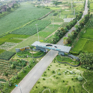 Cần Bán 3 Suất Ngoại Giao Diamond Park Mê Linh - đường Lớn, Mặt Tiền Rộng 6m, Giá 2tỷxx