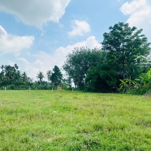 " #32đất full thổ cư gần kcn hiệp thạnh chỉ 470 triệu