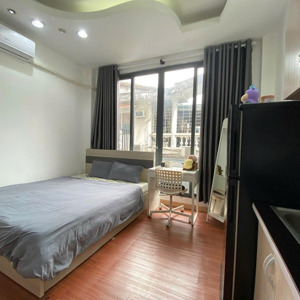 Căn Studio đơn Giản Nhưng Không Tầm Thường Nguyễn đình Chiều, Quận 3