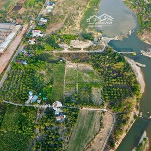 bán mảnh vườn có sẵn cây ăn trái đang thu hoạch tại diên thọ - diên khánh - khánh hòa