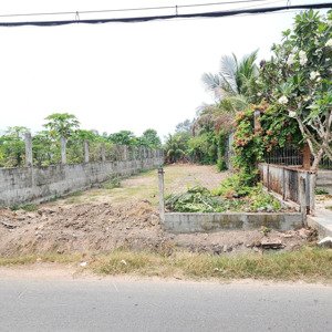 hot ! 151m2 đất thổ cư, shr, chỉ 2 tỷ 995 đường liêu bình hương, chợ việt kiều, củ chi