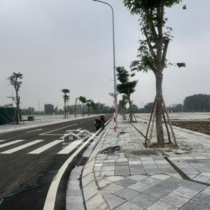 dự án the metropolitan bắc giang