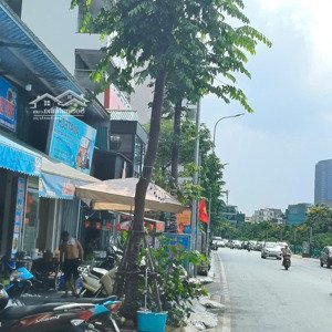 Cho Thuê Nhà 4 Tầng Diện Tích 200m2 Mặt Tiền 7m Khu Phố đặng Thái Mai Quảng An, Tây Hồ Hà Nội