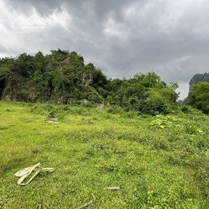 Bán Gấp Lô đất đẹp Cao Sơn, đất Bằng Phẳng, đường Bê Tông, Thích Hợp Làm Nhà Vườn, đầu Tư Sinh Lời