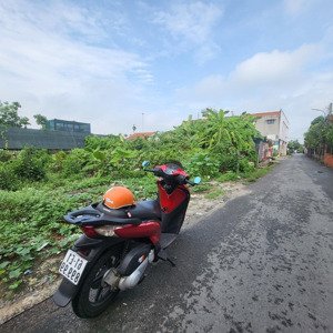 đất 5x17m nhựa thông 50m ra cmt8 giá 2.7tỷ tặng giấy phép 3 lầu