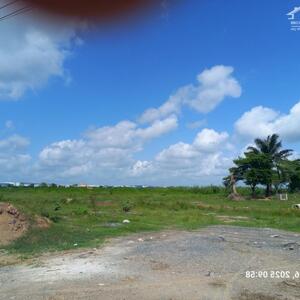 Bán đất Xây Dựng Xưởng 30,000m2 KCN Thủ Thừa, Long An