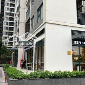 s2.08 chính chủ cần sang nhượng shop chân đế giá 16,9 tỉ
