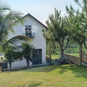 Bán Gấp Căn Biệt Thự Sân Vườn Siêu đẹp 750m2, Giá Rẻ Chỉ: 2,1 Tỷ