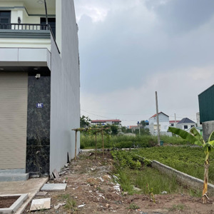 chủ đã giảm giá đất đấu giá một thượng thắng lợi mặt kênh, ưng là vào việc
