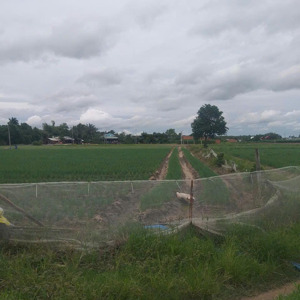 Bán 1500m2 đất 3 Tỷ Tại Bàu Công, Pháp Lý đầy đủ, Giá ưu đãi