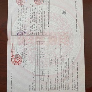 Cần Tiền Nên Bán Lô đất 300m Có 200m Thổ Cư Vuông Như Cái Bánh Tại Tân Vinh Lương Sơn Giá Rẻ