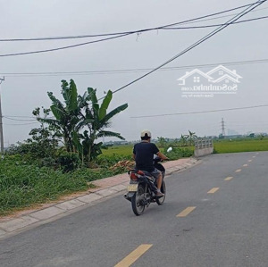 bán lô đất sát vin hiếm có tại phong cầu đại đồng chia được 2 lô 177m2