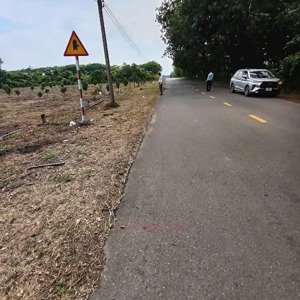 bán đất tại đường dh504, phước sang, phú giáo, bình dương, 330 triệu, 185.5m2 view đẹp