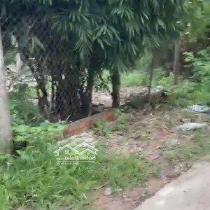 ngang 18,5m dài 35m thổ cư 400m đường 5,5m ra ql22b đúng 700m khu đông dân sầm uất