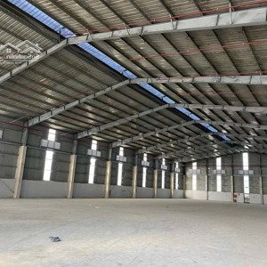Cho Thuê Kho, Nhà Xưởng 2000m2 Tại D8, Mỹ Phước, Bến Cát, Bình Dương, Chỉ Với 155 Triệu/th