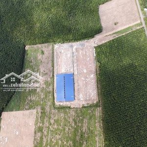 cho thuê nhà xưởng chuẩn công nghiệp - đắc địa tại đất cuốc, bắc tân uyên, bình dương
