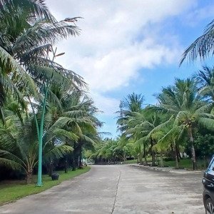 cần bán lô biệt thự 551m2 giáng hương villa giá tốt