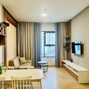 Chính Chủ Cho Thuê Căn Hộ 2pn-1wc Căn Hộ Akari City Bình Tân