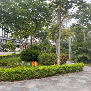 Chính Chủ A Trai Cần Bán Gấp Căn Liền Kề 176m2 Gardencity Thạch Bàn View Vườn Hoa Tuyệt đẹp