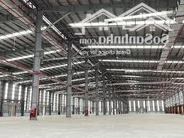Cho Thuê 5.400m2 Kho Xưởng Khu Vực Bến Cát, Bình Dương Giá Chính Chủ