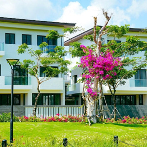 bán biệt thự đơn lập lavida vũng tàu, giá rẻ nhất dãy bt1.x trực diện công viên trung tâm