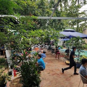 Bán Nhà Gần 1500m2 Xây Cao Tầng đường Quang Trung, Quận 9 Dt 28 X 54. Giá 121,5 Tỷ Tl.