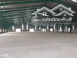 Cho thuê nhà xưởng 5.000m2 Long Nguyên Bàu Bàng