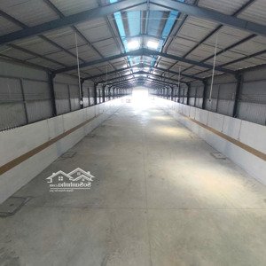 Cho Thuê Kho Xưởng: 2.100m2, Khuôn Viên: 6.000m2, Trần Văn Giàu, Tân Tạo, Bình Tân