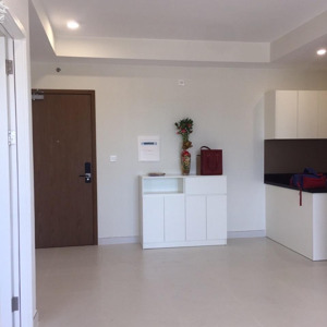 Cho Thuê Căn Hộ Diamond Lotus Riverside, Q8 60m², 2pn 1wc Trống