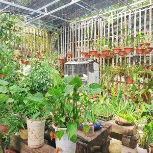 Nhà Diên Phú, Sát Bên Uỷ Ban Xã Diên Phú Cách Ql1a: 80m Giá: 3 Tỷ 350 Triệu