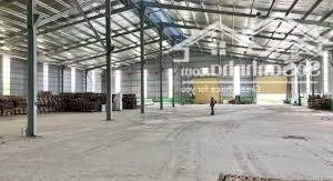 Cho thuê kho xưởng mới KCN Long Thành, Đồng Nai 4500m2x 2 xưởng. Cho thuê lẻ hoặc thuê hết. Giá tốt