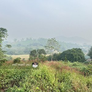 Chuyển Nhượng Lô đất View Tuyệt Diện Tích 2961m2 đất ở đô Thị 120m Tại Thị Trấn Lương Sơn, Hòa Bình