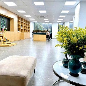 Mời Thuê Văn Phòng 200m2 đầy đủ đồ Sẵn Vào Hoạt động. Mặt đường 19.5m Kđt Nam đầm Vạc