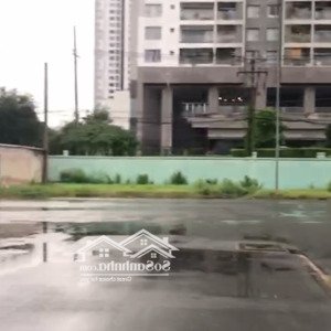 Cho Thuê Mặt Bằng đẹp đường Phú Thuận, Q7 - Dt 15x20m - Xung Quanh Có 10.000 Ch Vào Khai Thác Ngay