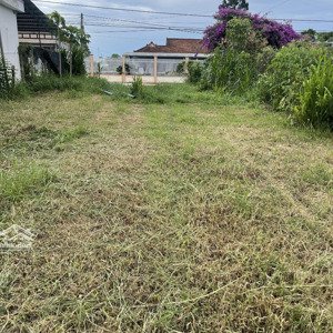 đường đang mở rộng. giá tốt cho việc đầu tư. đất đẹp tại nguyễn trọng cát, trảng bàng, tây ninh